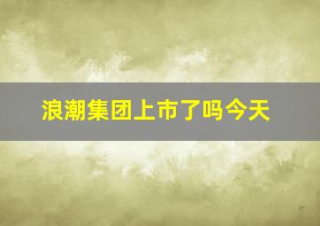 浪潮集团上市了吗今天