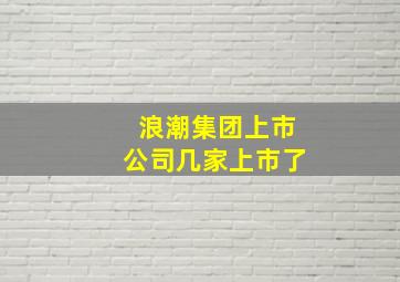 浪潮集团上市公司几家上市了