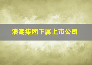 浪潮集团下属上市公司