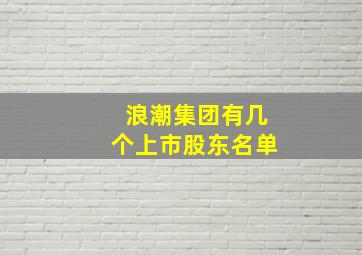 浪潮集团有几个上市股东名单