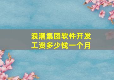 浪潮集团软件开发工资多少钱一个月