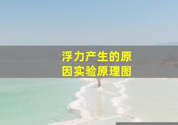 浮力产生的原因实验原理图