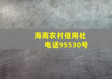 海南农村信用社电话95530号