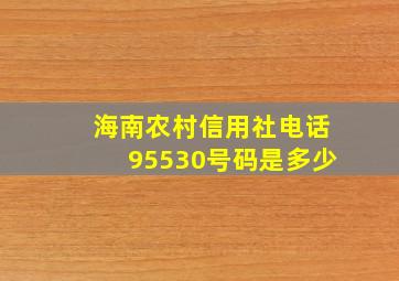 海南农村信用社电话95530号码是多少