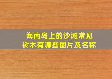 海南岛上的沙滩常见树木有哪些图片及名称