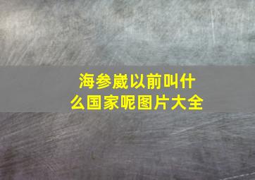 海参崴以前叫什么国家呢图片大全