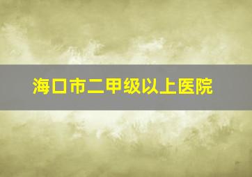 海口市二甲级以上医院