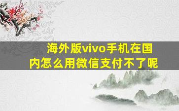 海外版vivo手机在国内怎么用微信支付不了呢