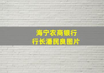 海宁农商银行行长潘民良图片