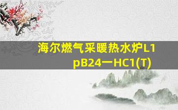 海尔燃气采暖热水炉L1pB24一HC1(T)