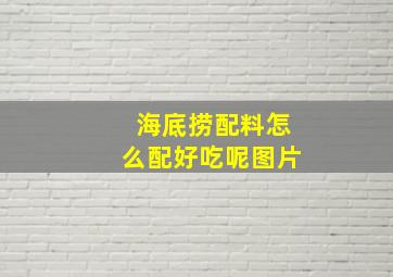 海底捞配料怎么配好吃呢图片