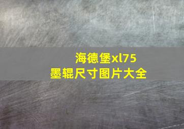 海德堡xl75墨辊尺寸图片大全