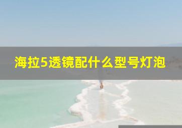 海拉5透镜配什么型号灯泡