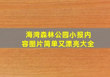 海湾森林公园小报内容图片简单又漂亮大全