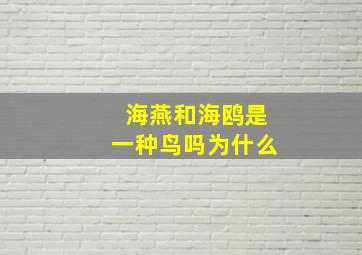 海燕和海鸥是一种鸟吗为什么