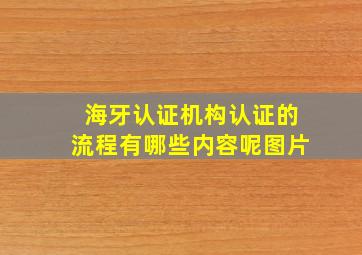 海牙认证机构认证的流程有哪些内容呢图片