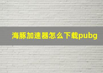 海豚加速器怎么下载pubg