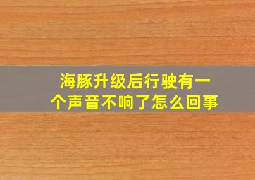 海豚升级后行驶有一个声音不响了怎么回事