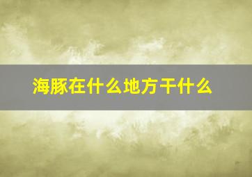 海豚在什么地方干什么