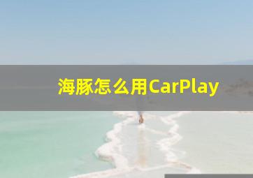 海豚怎么用CarPlay