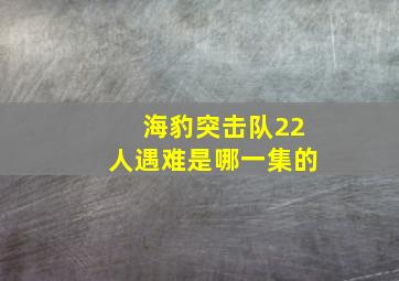 海豹突击队22人遇难是哪一集的