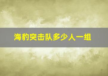 海豹突击队多少人一组