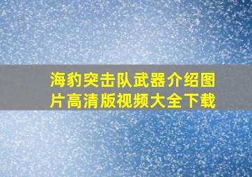 海豹突击队武器介绍图片高清版视频大全下载