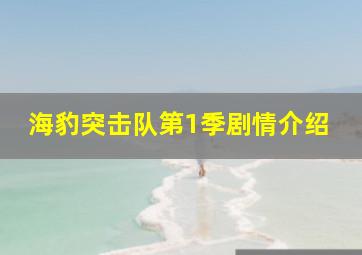 海豹突击队第1季剧情介绍