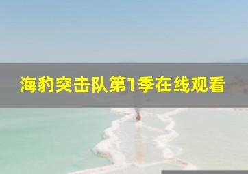 海豹突击队第1季在线观看