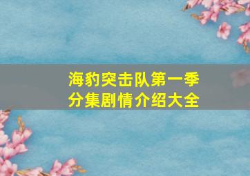 海豹突击队第一季分集剧情介绍大全