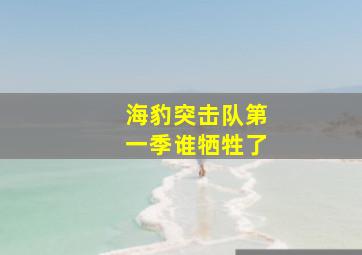 海豹突击队第一季谁牺牲了