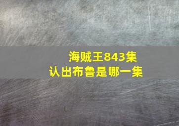 海贼王843集认出布鲁是哪一集