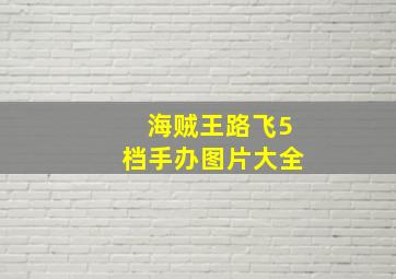 海贼王路飞5档手办图片大全