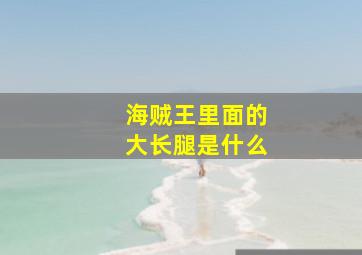 海贼王里面的大长腿是什么