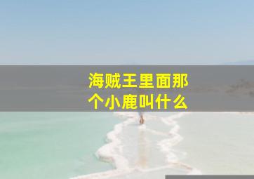 海贼王里面那个小鹿叫什么