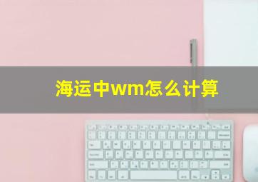 海运中wm怎么计算