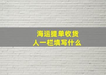 海运提单收货人一栏填写什么