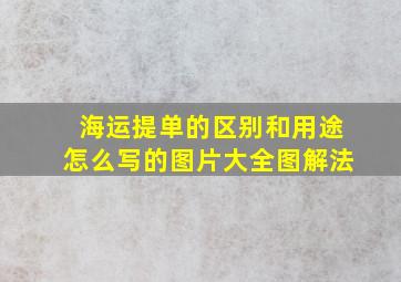 海运提单的区别和用途怎么写的图片大全图解法