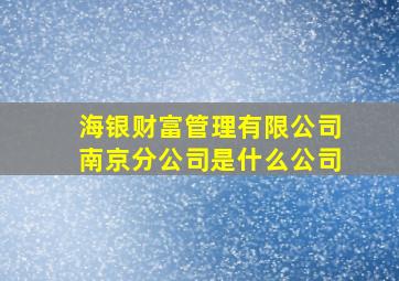 海银财富管理有限公司南京分公司是什么公司