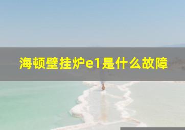 海顿壁挂炉e1是什么故障