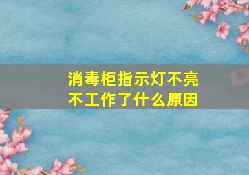 消毒柜指示灯不亮不工作了什么原因