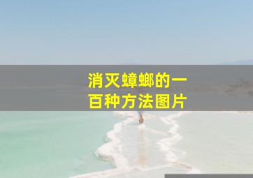 消灭蟑螂的一百种方法图片