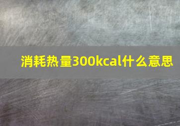 消耗热量300kcal什么意思