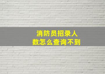 消防员招录人数怎么查询不到