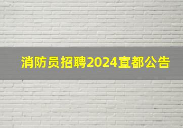 消防员招聘2024宜都公告