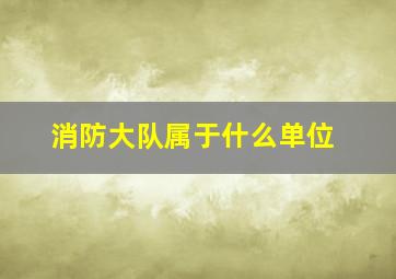 消防大队属于什么单位