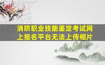 消防职业技能鉴定考试网上报名平台无法上传相片