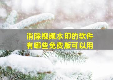 消除视频水印的软件有哪些免费版可以用