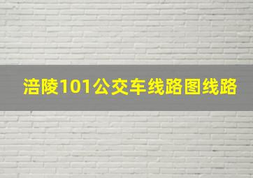 涪陵101公交车线路图线路