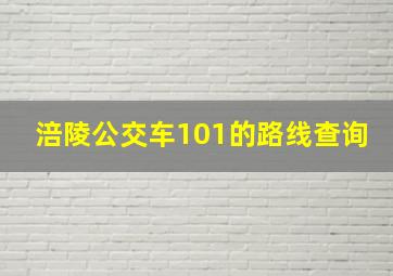 涪陵公交车101的路线查询